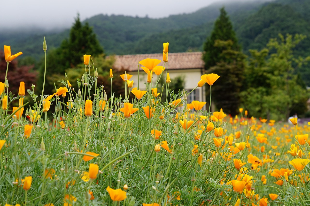 打造一个没有技术支持的游戏信仰