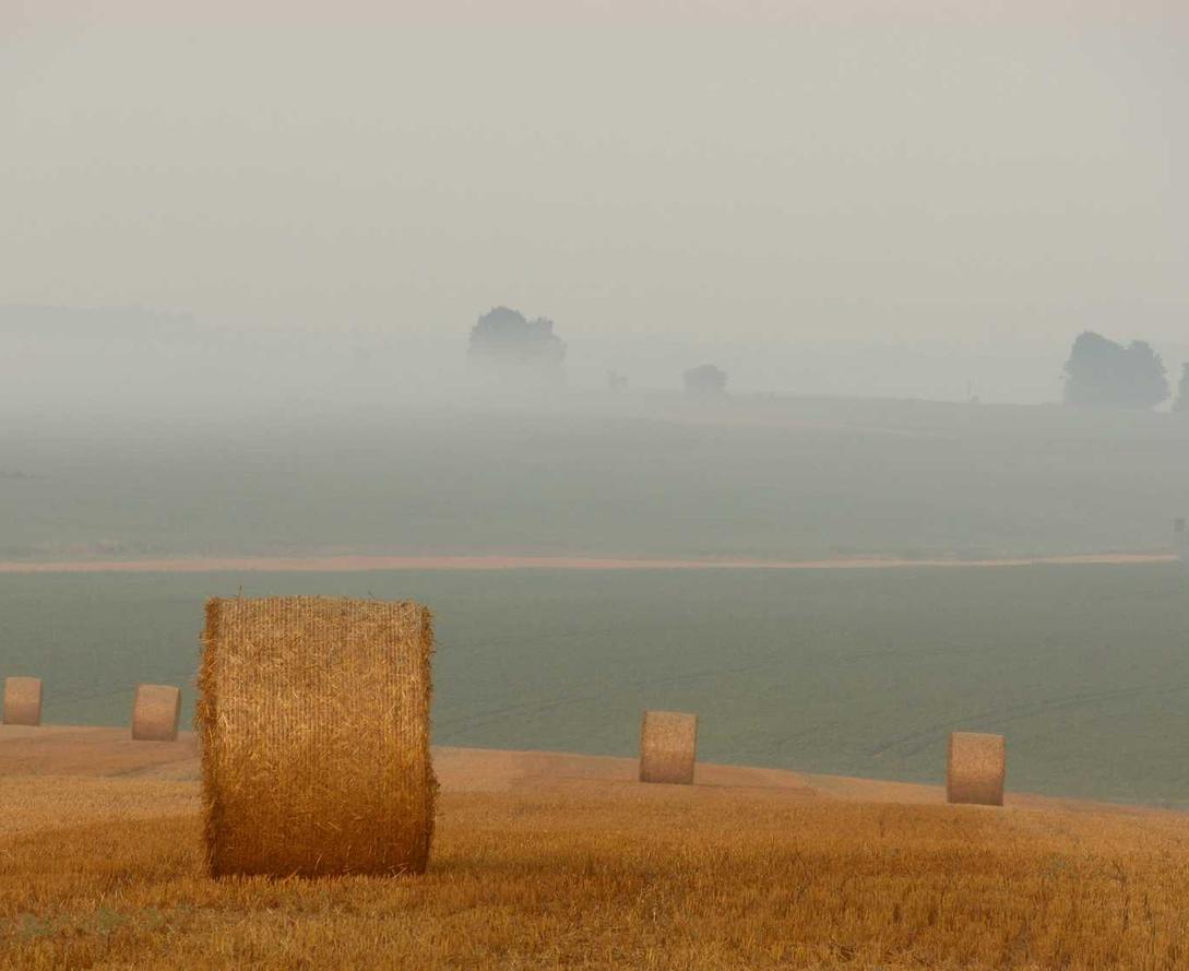 DDOS网页端平台|如何保护个人信息免受黑客攻击
