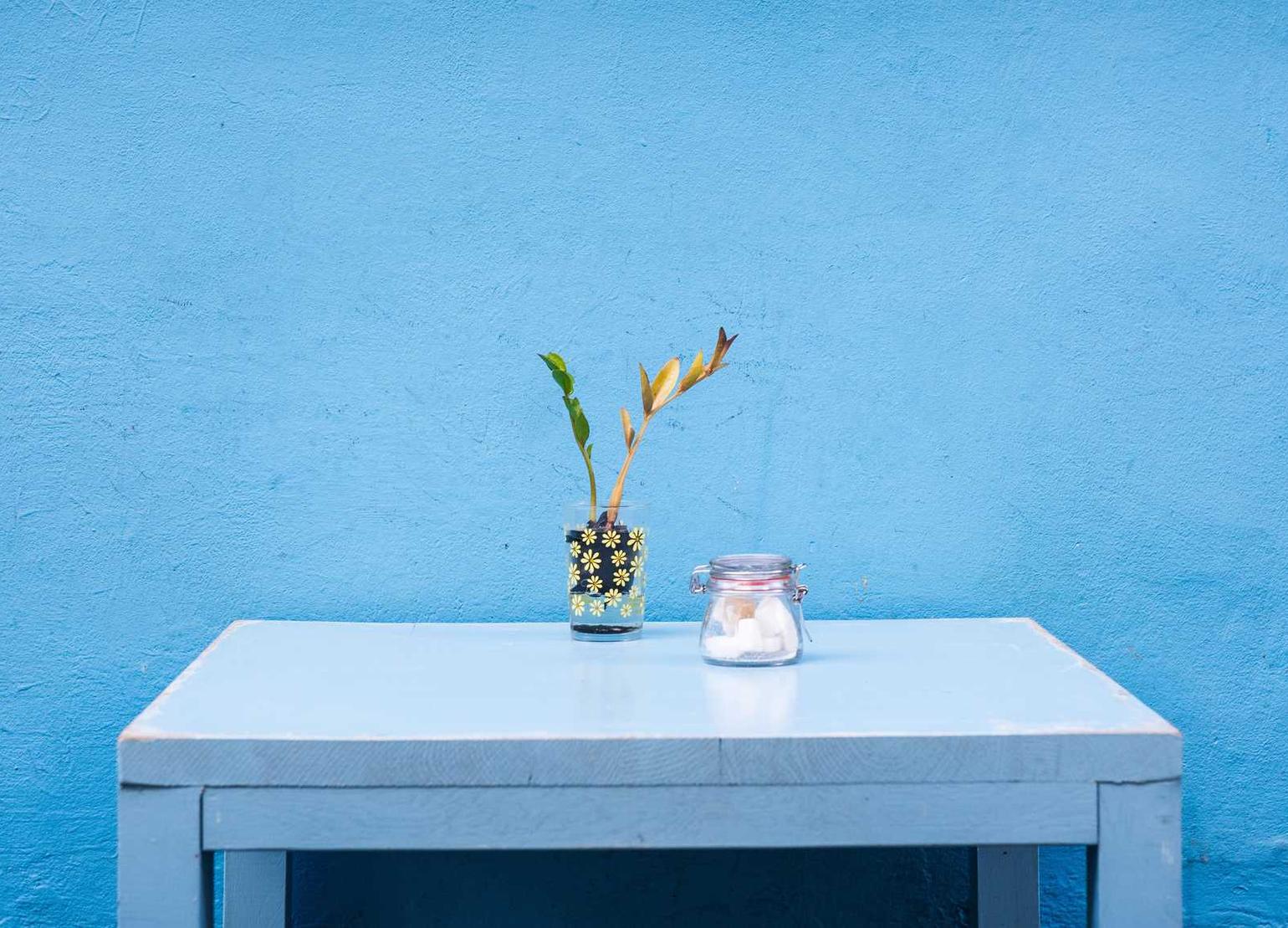 珍爱网实名账号：广东商标注册代理费