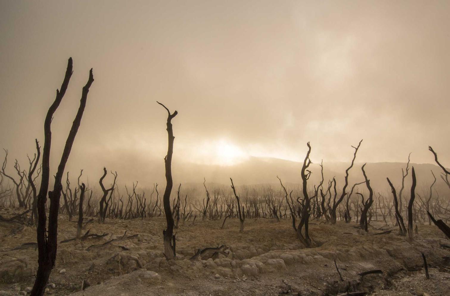 欧盟好彩柠檬双爆珠：利记app详情下载教程