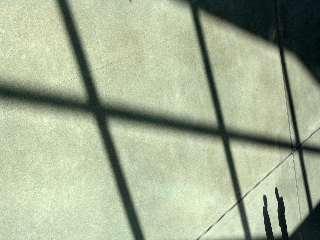 NBA2K OL2：白狐软件详情下载教程app