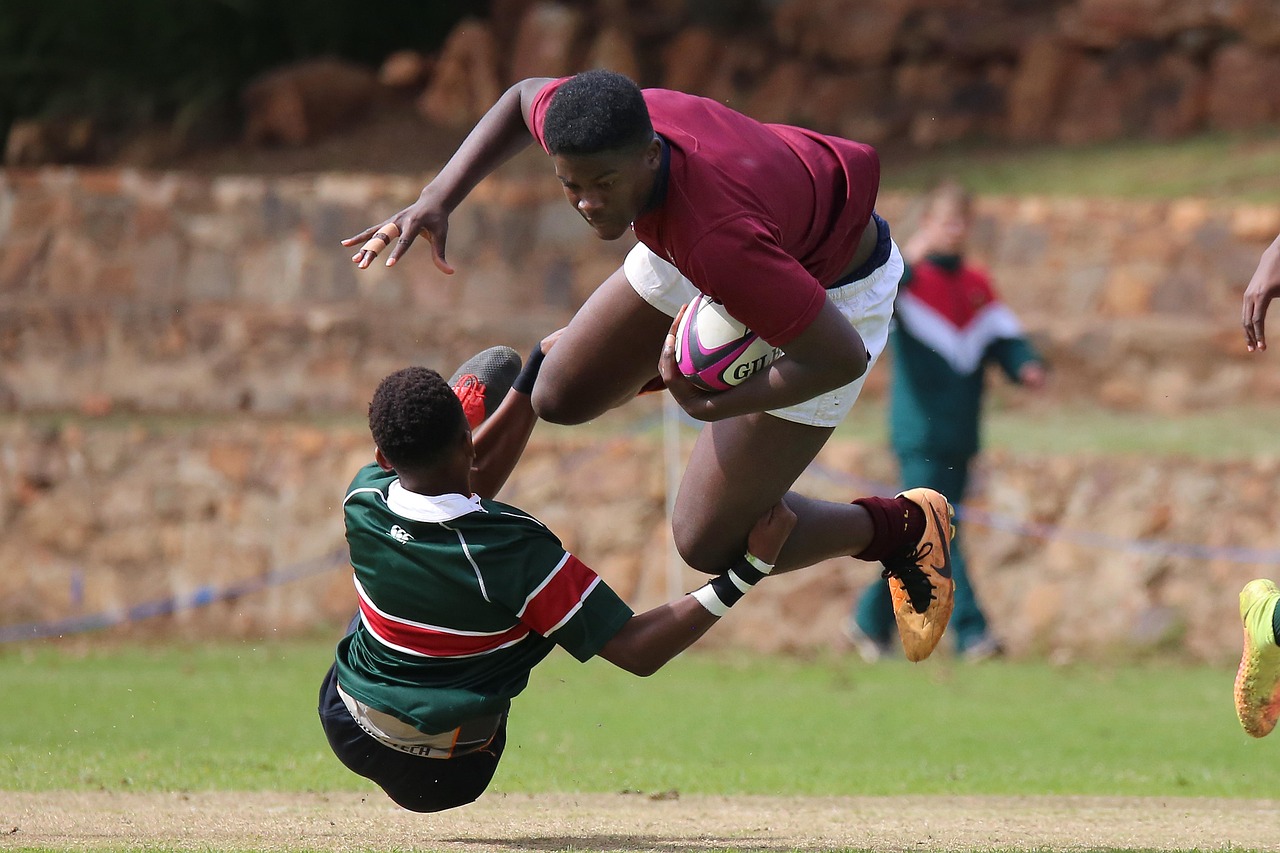 蓝色协议：大蓝鲸app详情下载教程