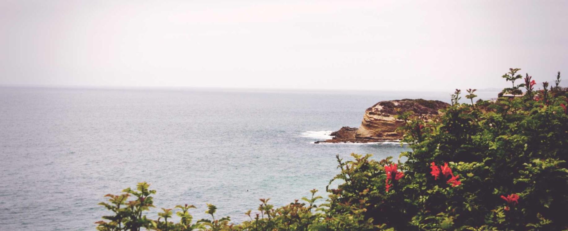 极信通信实名账号：实名认证和智能终端技术的结合和协作