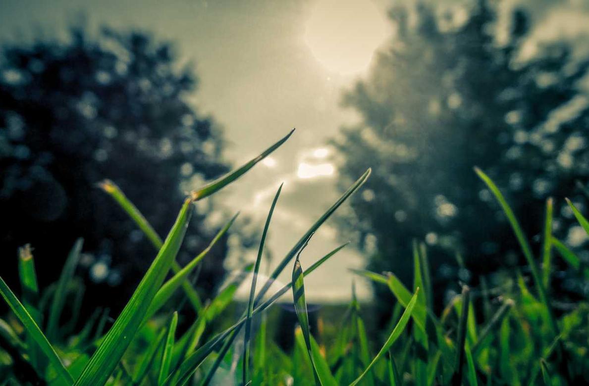 免费攻击网站|互联网线下代理商联盟平台