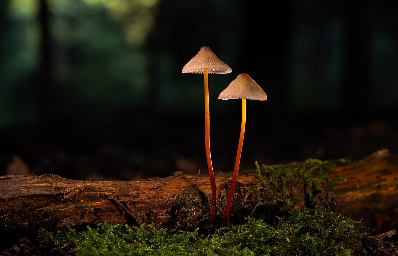 买卖VX号：海宁代理记账平台