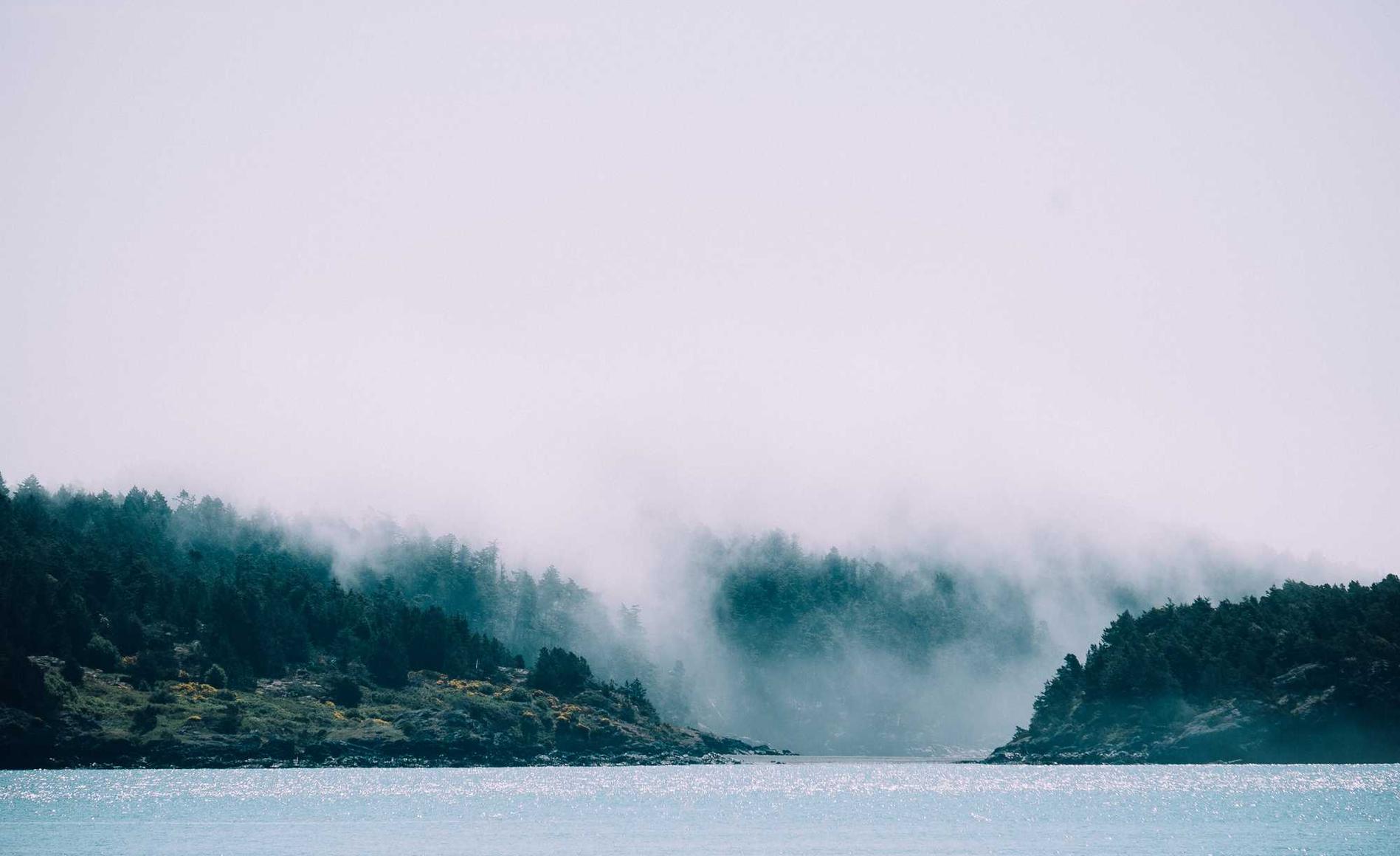 tcp攻击|yy直播mac版app详情下载教程