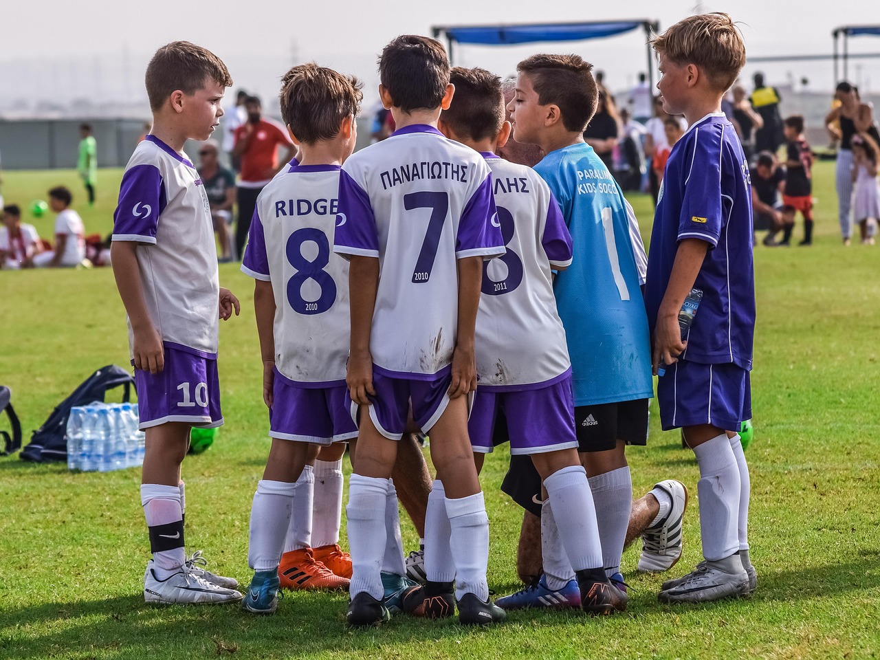 西游记：大话女儿国辅助- 飞机app代理注册